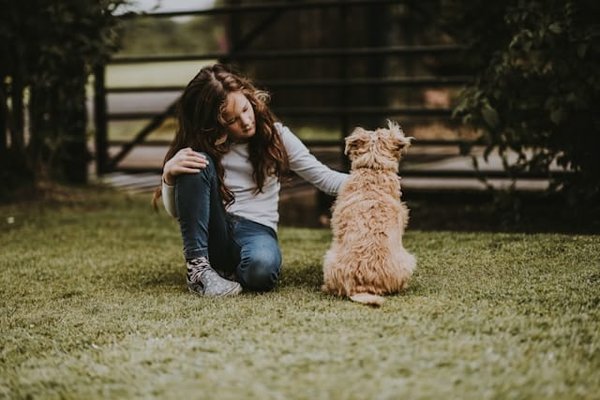 How to Determine the Correct Dosage of CBD for a Pet with Anxiety?